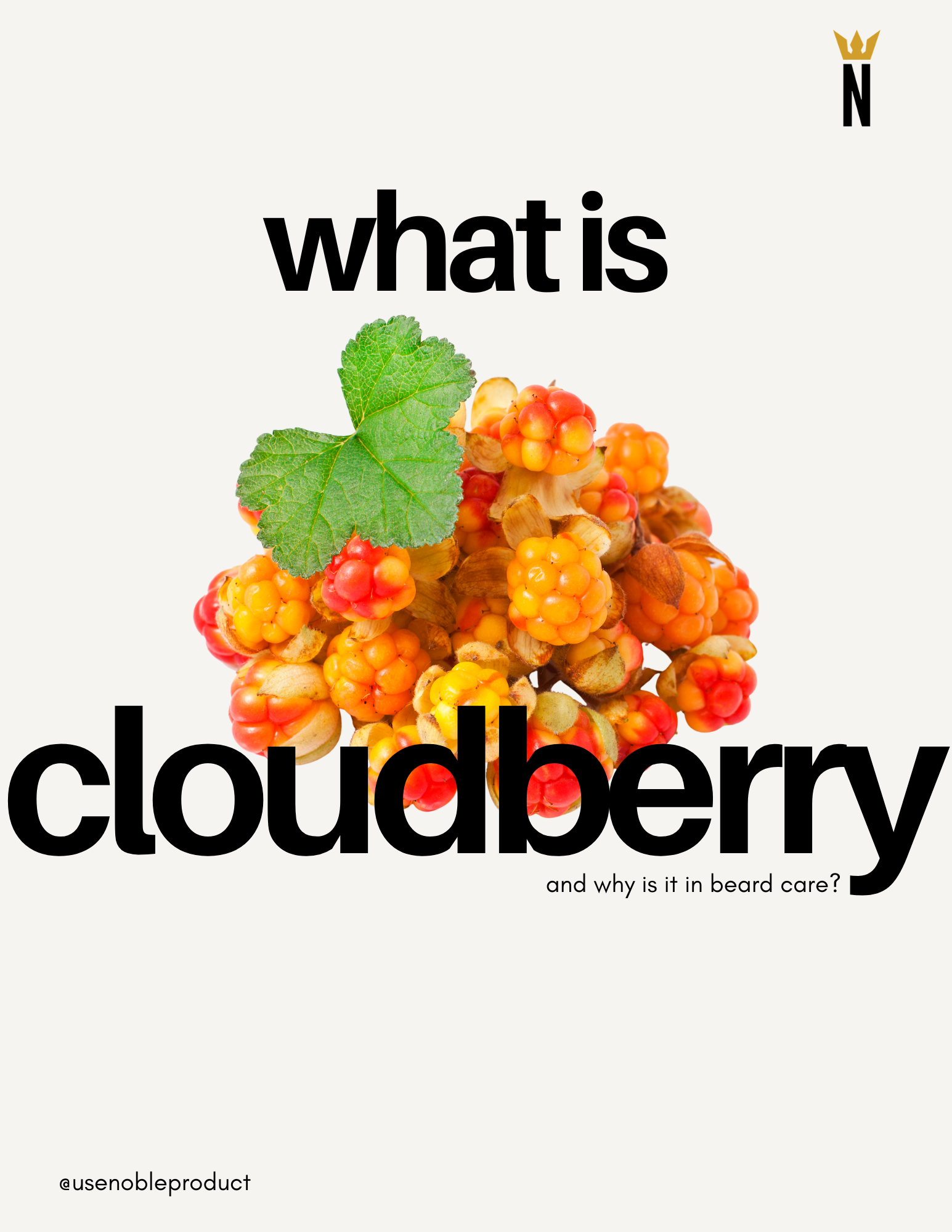 What Is Cloudberry Seed Oil and Why Is It in Beard Care?