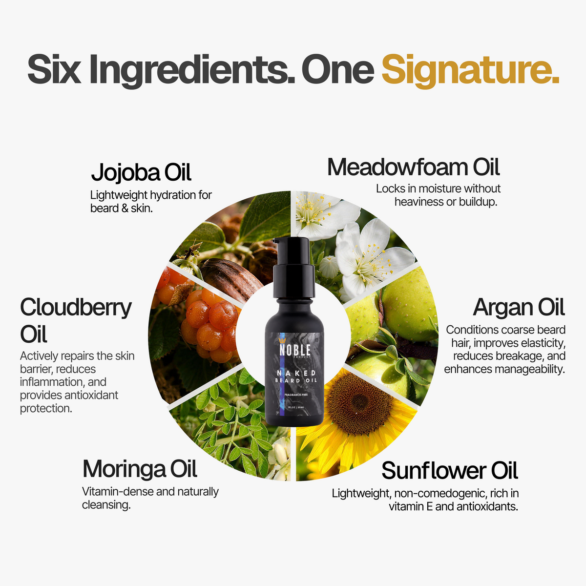 Naked Beard Oil | Lightweight Hydration | Fragrance-Free | 1 oz